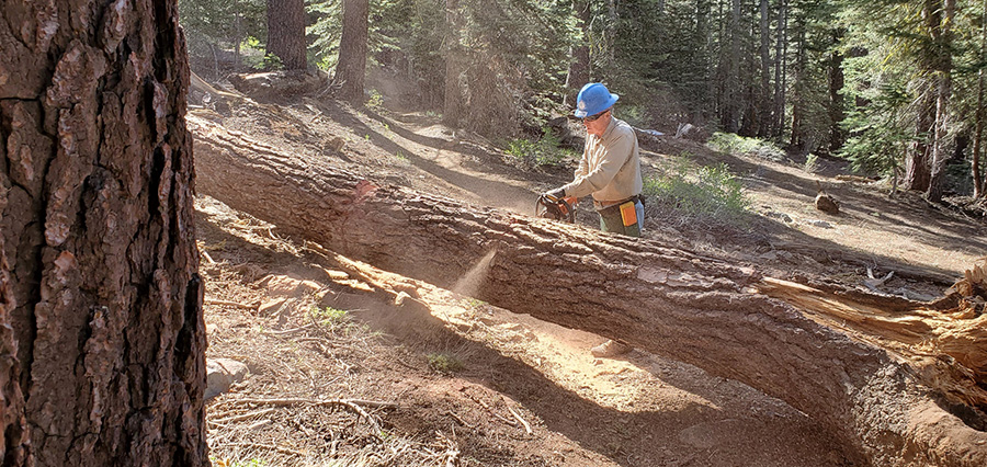 Where The Trail Leads